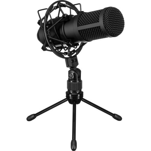 Tascam TM-70 Dynamic Broadcast Microphone