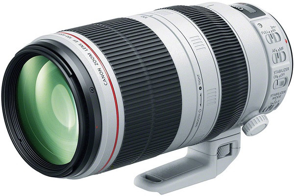 Canon EF 100-400mm f/4.5-5.6L IS II USM