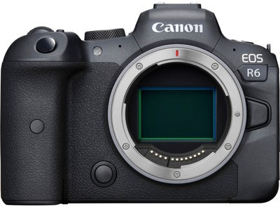 Canon EOS R6 Body (With Adapter)