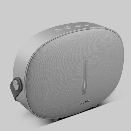 W-KING T8 HIFI Speaker 30W High Power Portable Bluetooth Speaker Silver grey