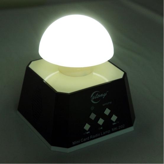 CT-0019 Multi LED Lights Speaker(Black)